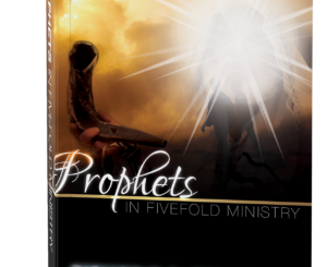 Prophets In Fivefold Ministry Paperback Book