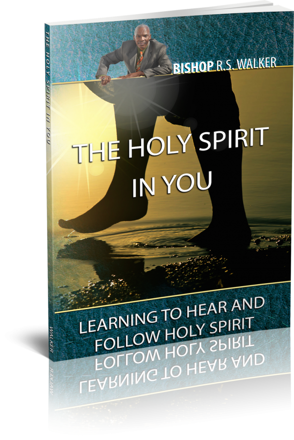 Holy Spirit In You (Paper Back)