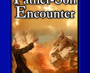 Father Son Encounter Paper Back Book