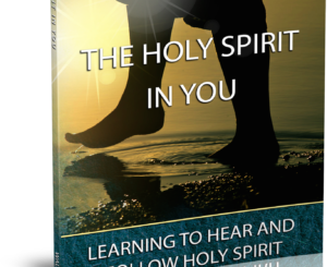 Holy Spirit In You Ebook