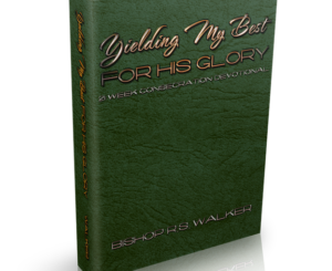 Yielding My Best For His Glory (Paper Back)