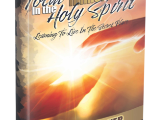 New and Improved Total Immersion in the Holy Spirit Paperback Book