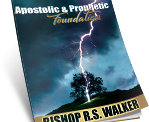 Apostolic and Prophetic Foundations - Book II